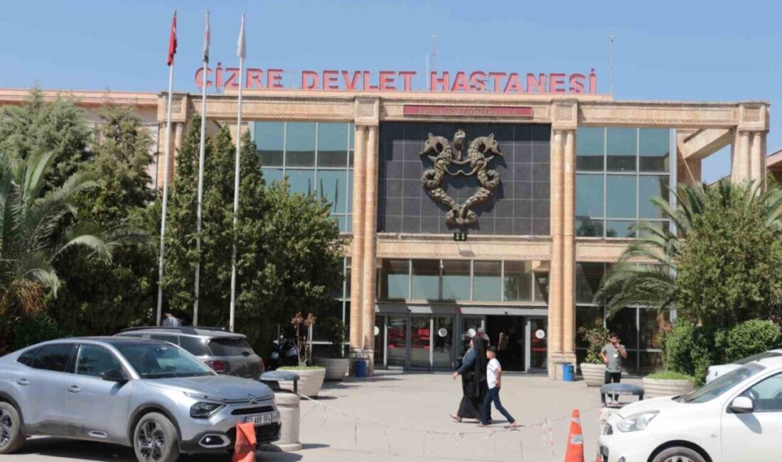 Şırnak’ın Cizre ilçesinde MS ve epilepsi hastalığı olan genç gebe,