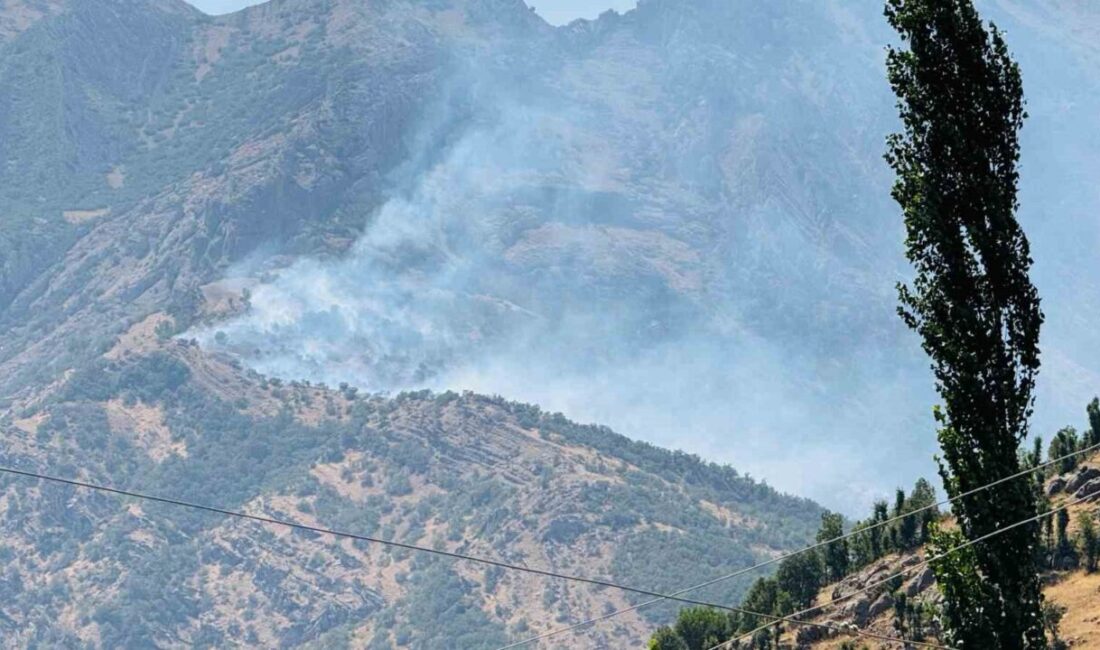 Şırnak’ın Beytüşşebap ilçesinde çıkan orman yangını, ekiplerin karadan ve havadan