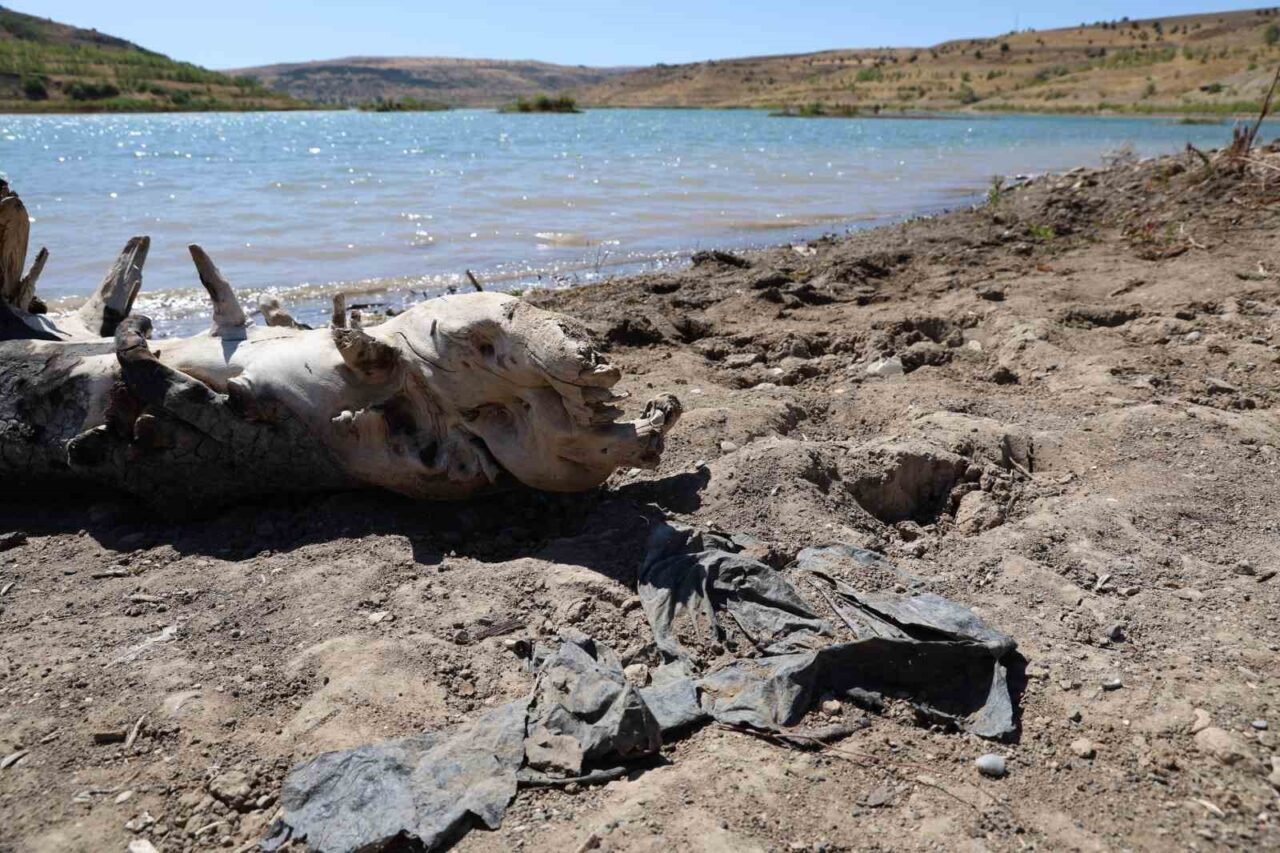 Sivas’ın önemli su kaynaklarından biri olan 4 Eylül barajında kuraklığın