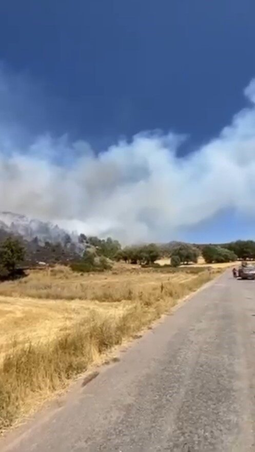 Sivas’ta ağaçlık alanda yangın başladı. Yangını söndürmek için bölgeye çok