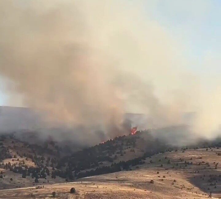 Sivas’ın İmranlı ilçesinde çıkan örtü yangını, rüzgarın etkisiyle ağaçlık alana