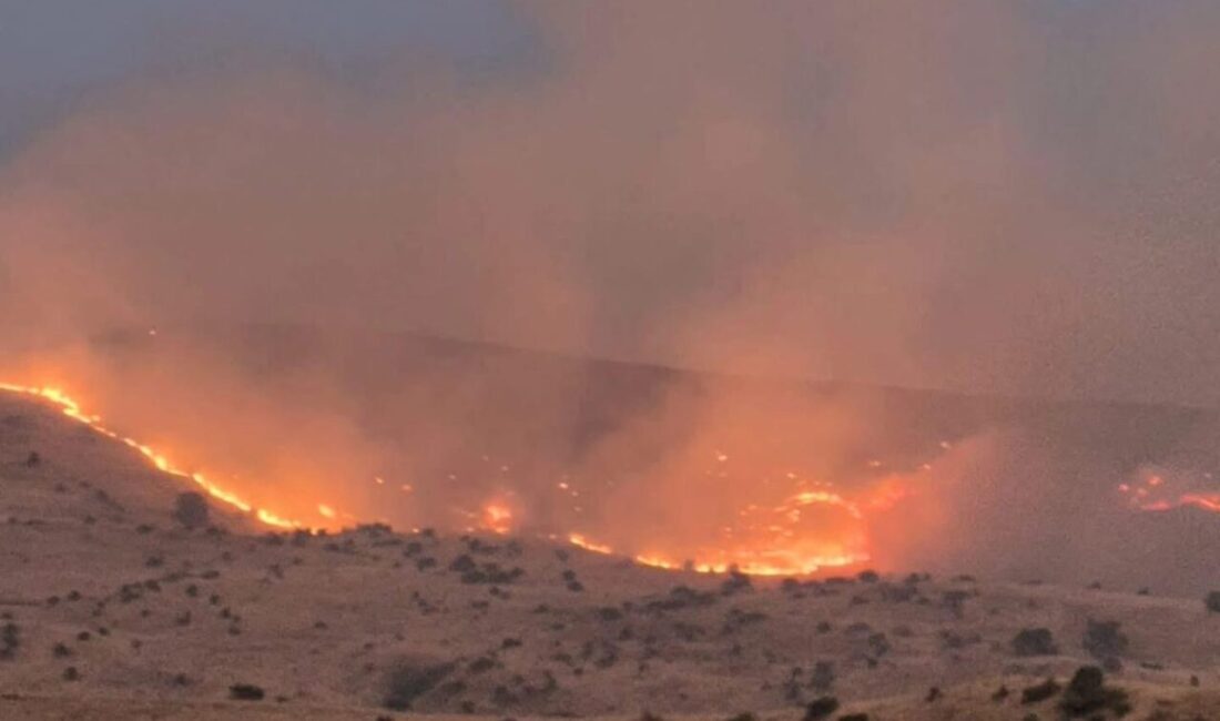 Sivas’ın İmranlı ilçesinde arazide çıkan örtü yangınını söndürmek için çalışmalar