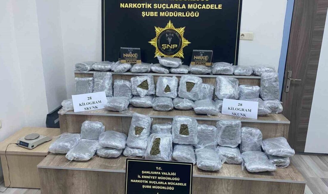 Şanlıurfa’nın Siverek ilçesinde polis ekiplerince düzenlenen operasyonda 28 kilo skunk