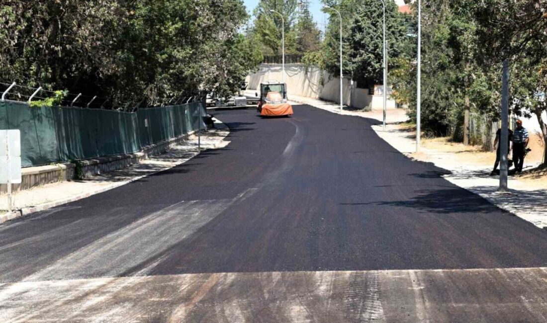 Bilecik’in Söğüt ilçesinde vatandaşların yoğun olarak kullandığı hastane yolunda baştan