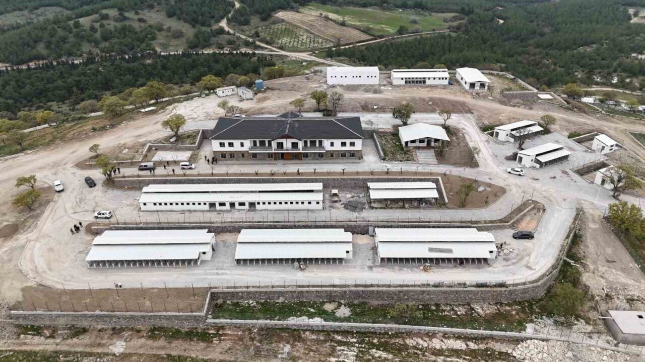 Manisa il genelinde Sahipsiz Hayvanlar Korunma-Koruma Eylem Planı çerçevesinde doğal