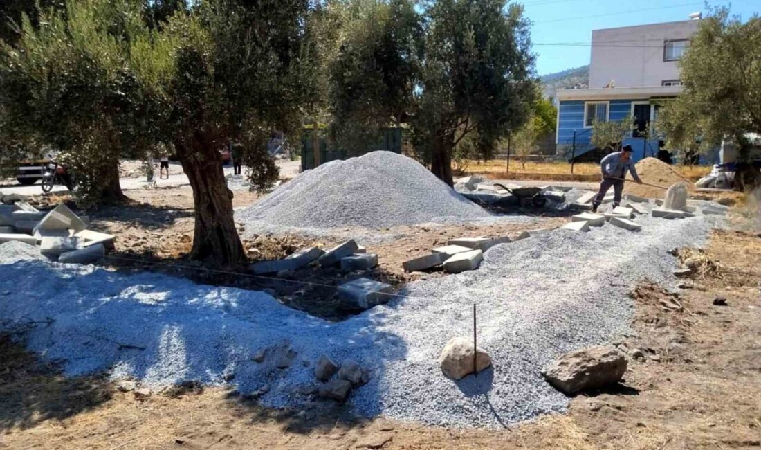 Söke Belediyesi park ve yeşil alanlardaki yenileme çalışmalarını sürdürüyor. Düzenlenme