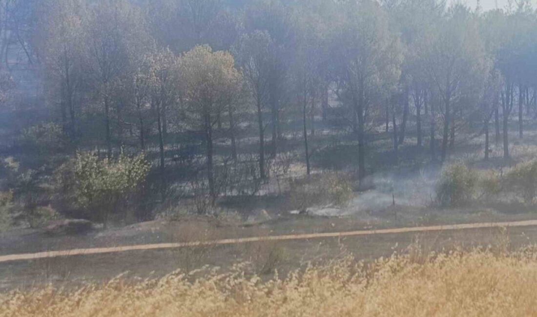 Manisa’nın Soma ilçesinde devam eden orman yangınında bir mahalle boşaltılırken