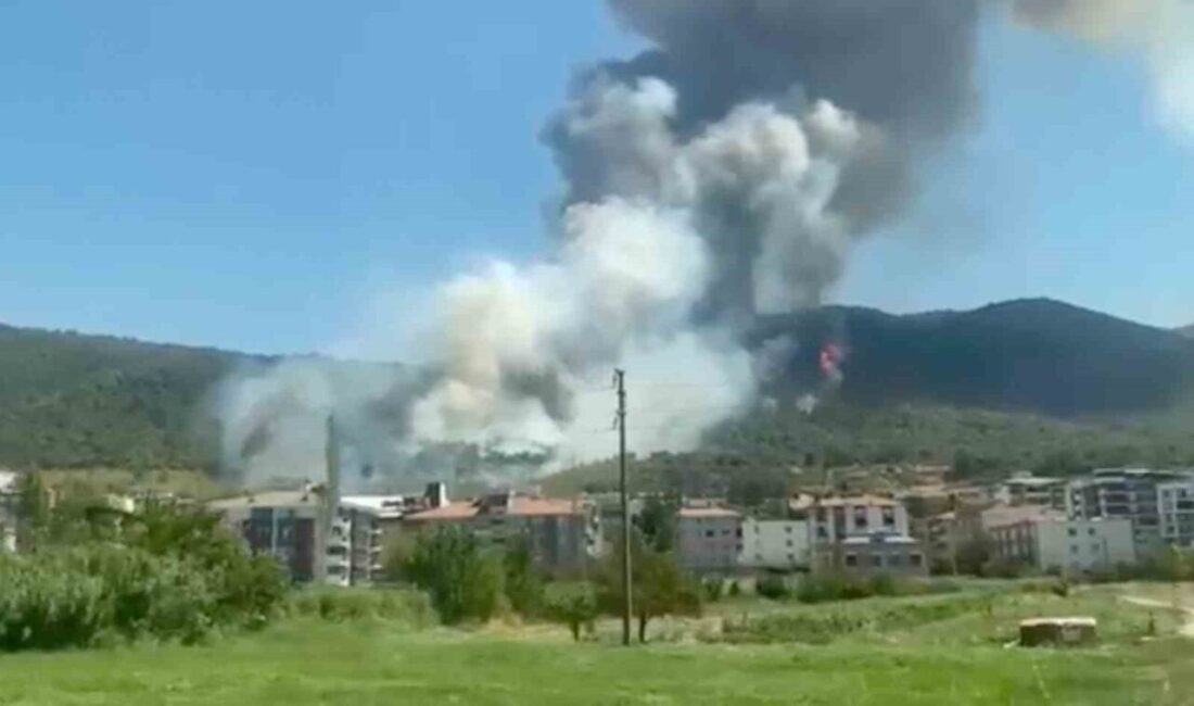 Manisa’nın Soma ilçesinde devlet hastanesinin arka tarafında yer alan ormanlık