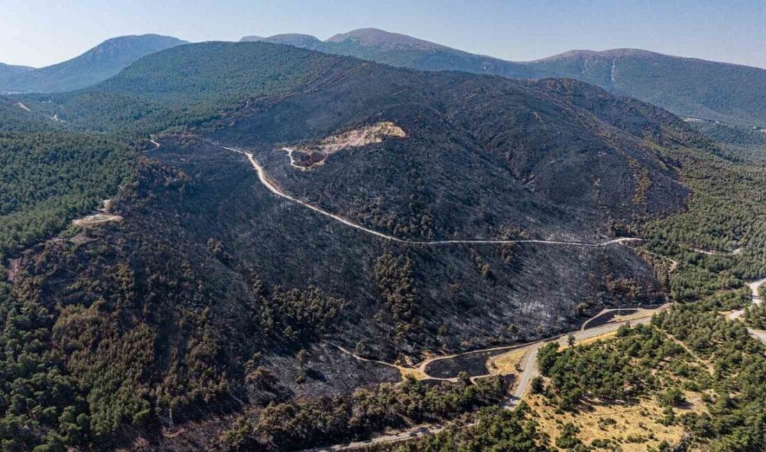 Manisa’nın Soma ilçesi Turgutalp Mahallesi’nde 11 Ağustos’ta çıkan orman yangını,