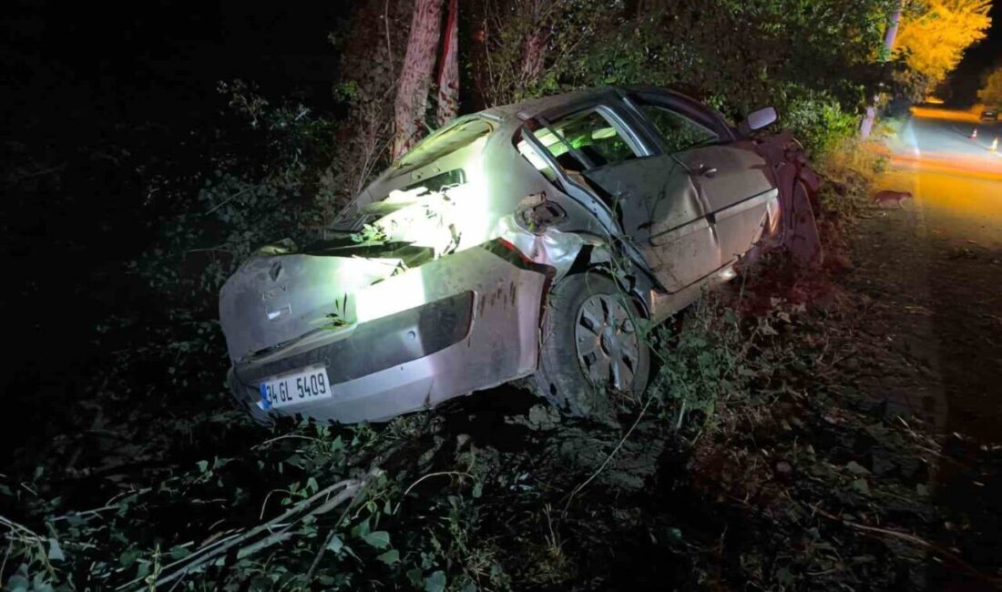 Afyonkarahisar’da meydana gelen trafik kazasında 1’i ağır 4 kişi yaralandı.