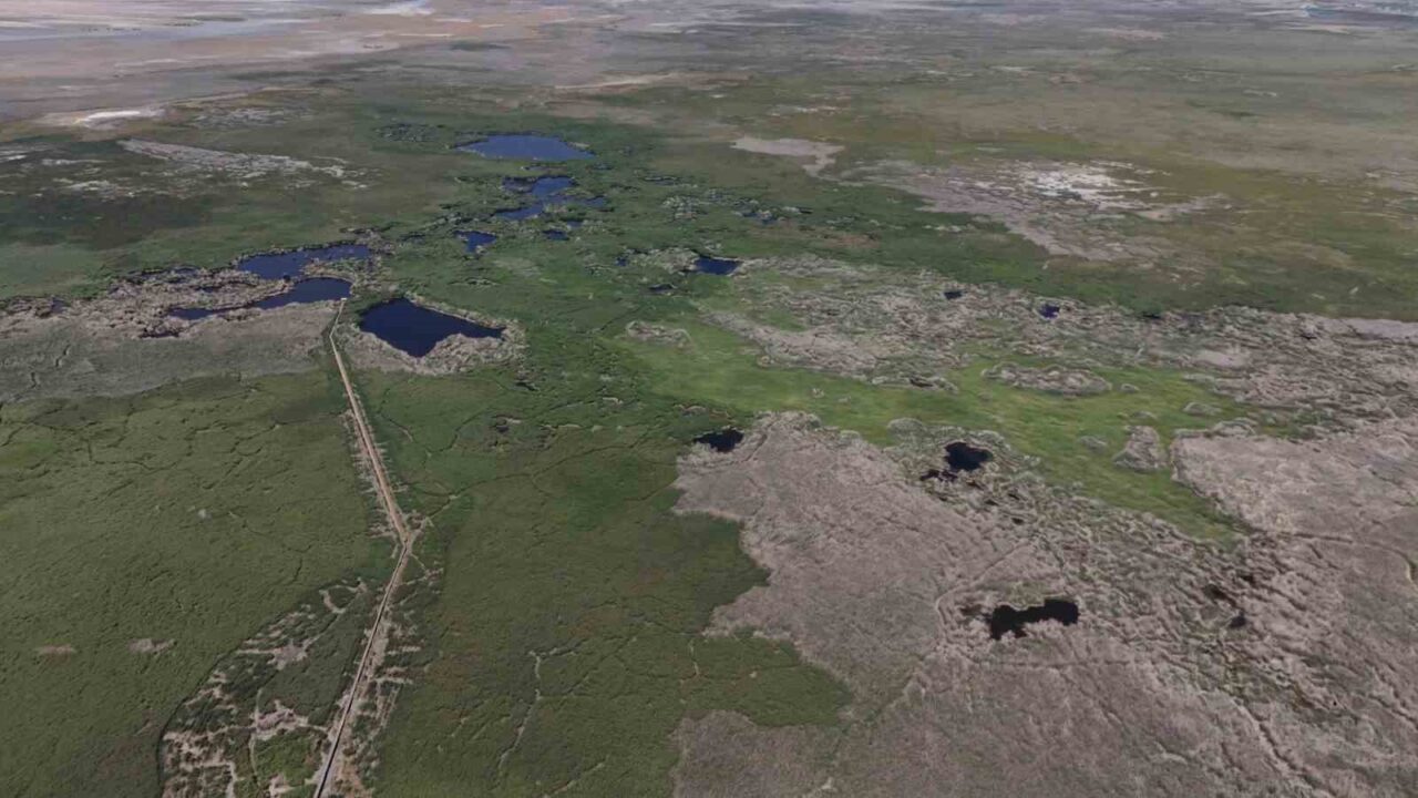 Kayseri’de Develi, Yeşilhisar ve Yahyalı ilçe sınırları içerisinde bulunan; Avrupa