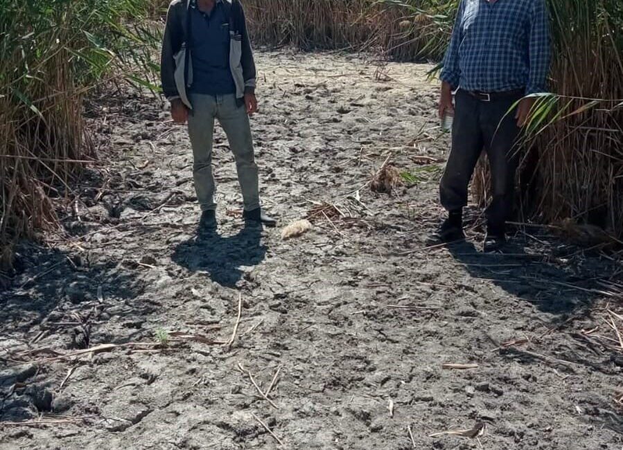 Türkiye’nin en önemli sulak alanlarından biri olan Sultan Sazlığı, son