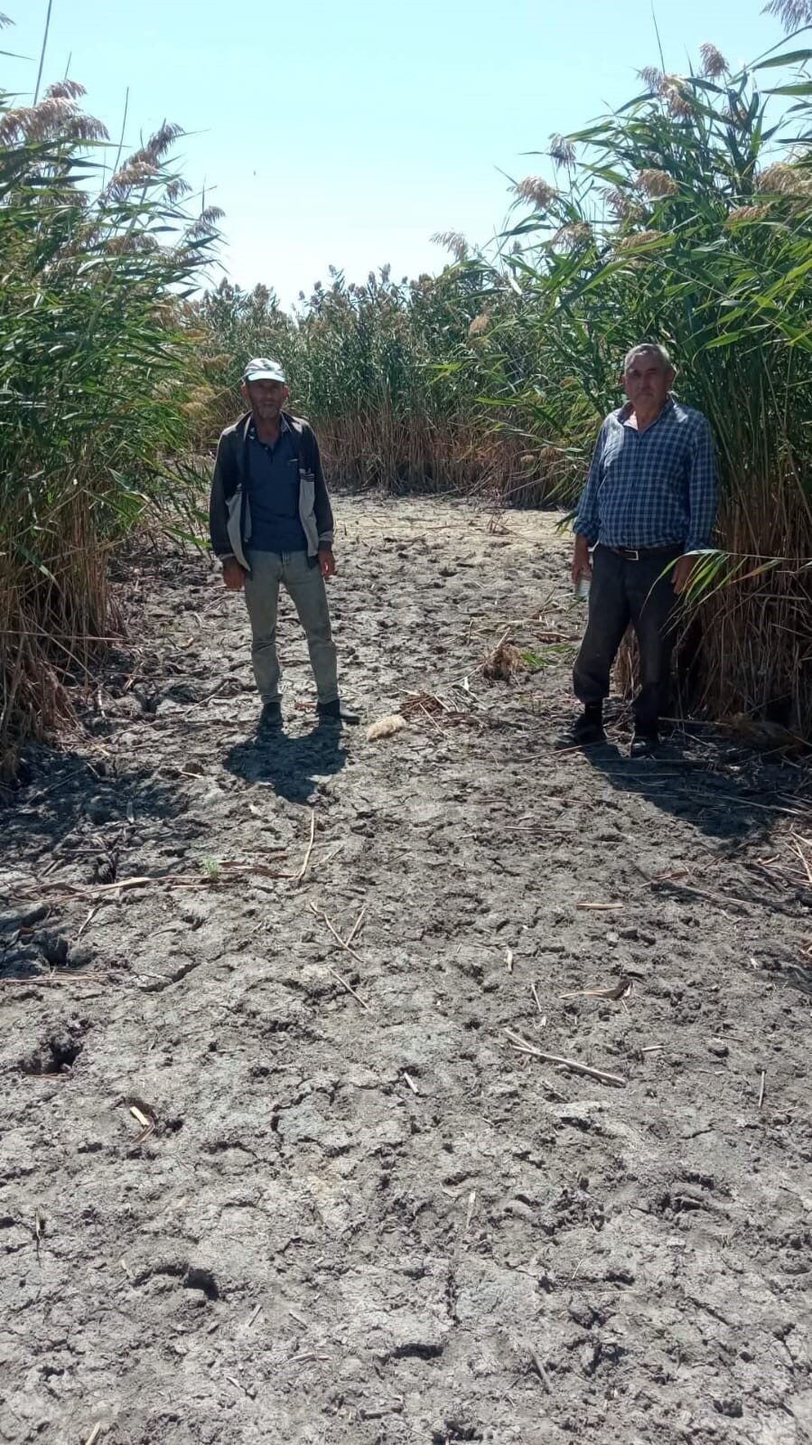 Türkiye’nin en önemli sulak alanlarından biri olan Sultan Sazlığı, son