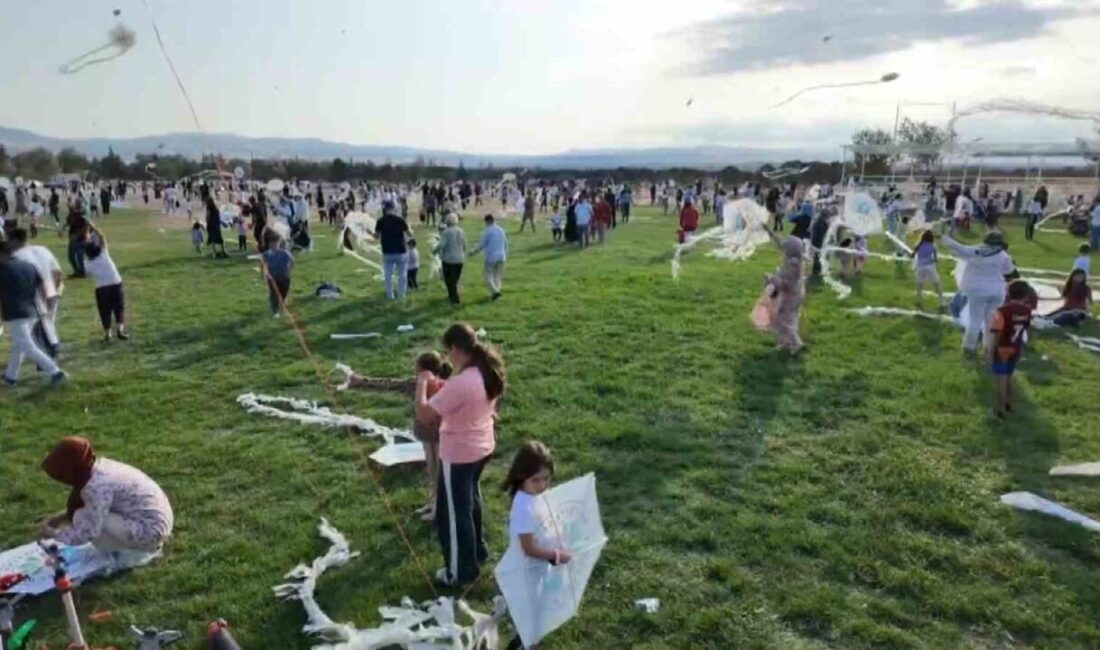 Amasya’nın Suluova ilçesinde düzenlenen uçurtma şenliği renkli görüntülere sahne oldu.