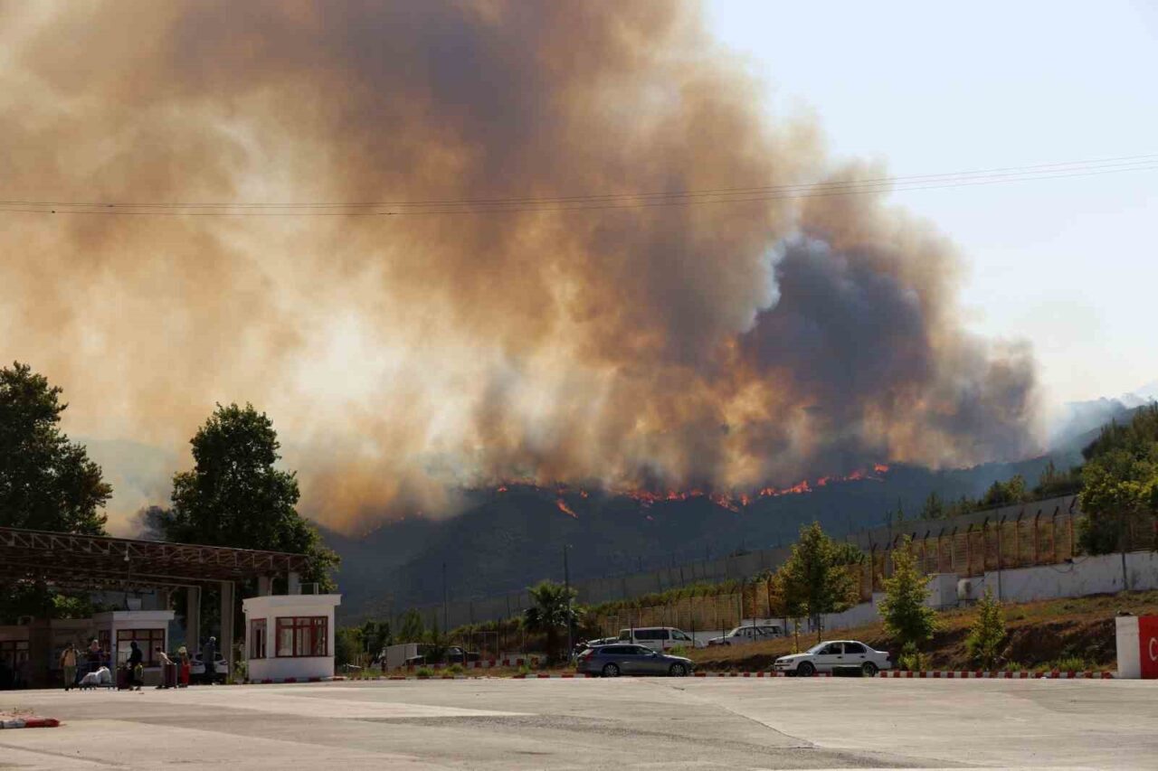 Suriye’nin Kesep bölgesinde ormanlık alanda çıkan yangın, Hatay’ın Yayladağı ilçesine
