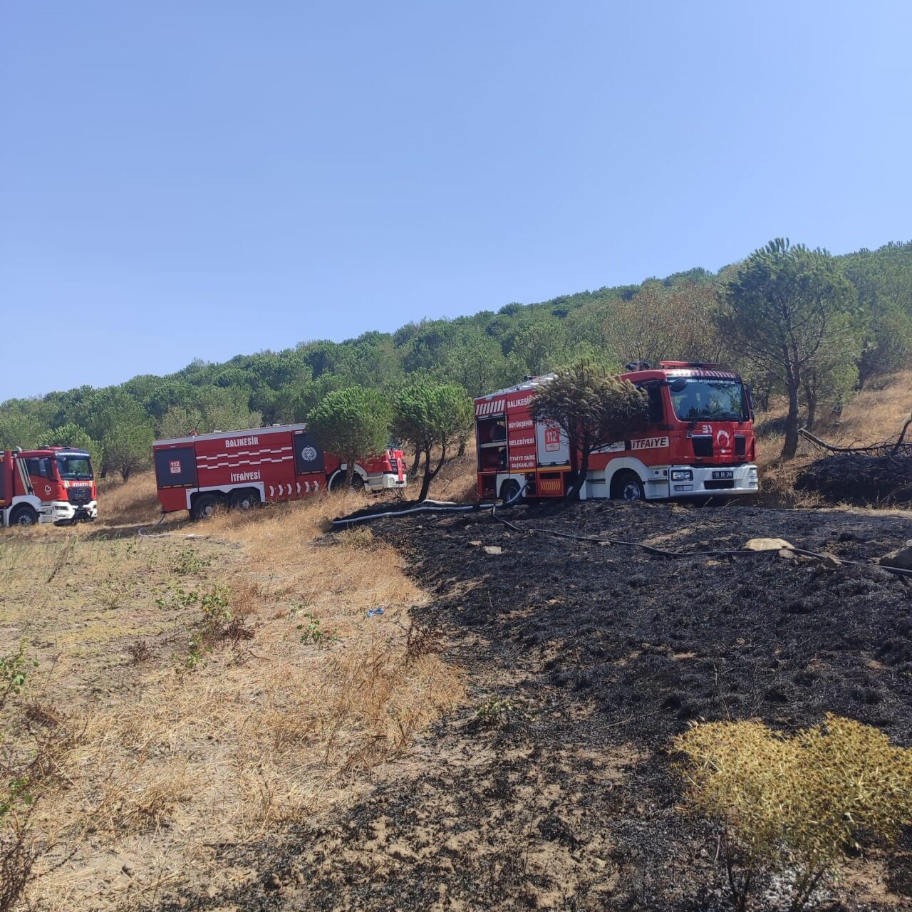 Balıkesir’in Susurluk ilçesi Yeniköy yakınlarında çıkan arazi ve ormanlık alan