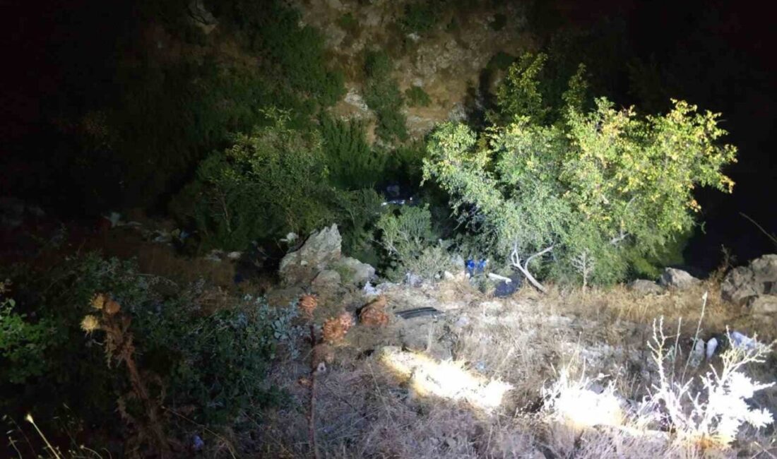 Balıkesir’in Susurluk ilçesi Danaveli Mahallesi’nde meydana gelen trafik kazasında şarampole
