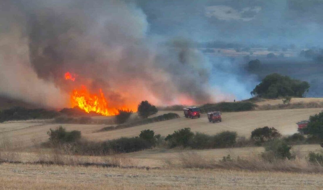Balıkesir’in Susurluk ilçesi Günaydın Mahallesi yakınlarında öğle saatlerinde arazide çıkan