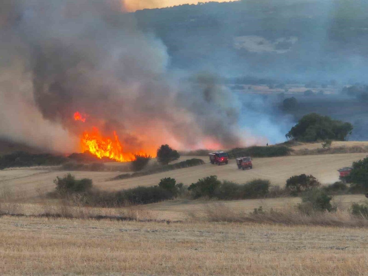 Balıkesir’in Susurluk ilçesi Günaydın Mahallesi yakınlarında öğle saatlerinde arazide çıkan