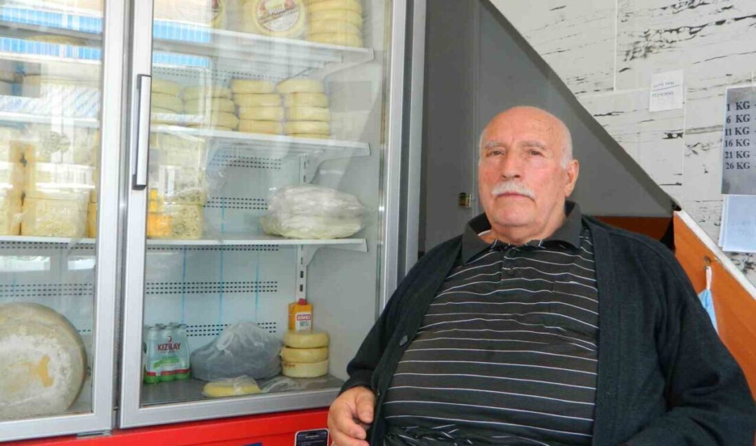 Ardahan’ın Posof ilçesinde yaşanan şap hastalığı besicileri olduğu kadar kaşar