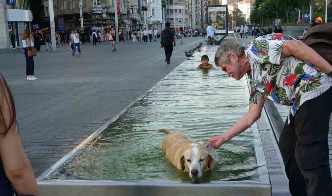 İstanbul Taksim Meydanı’nda sıcaktan bunalan çocuk ve köpek süs havuzuna