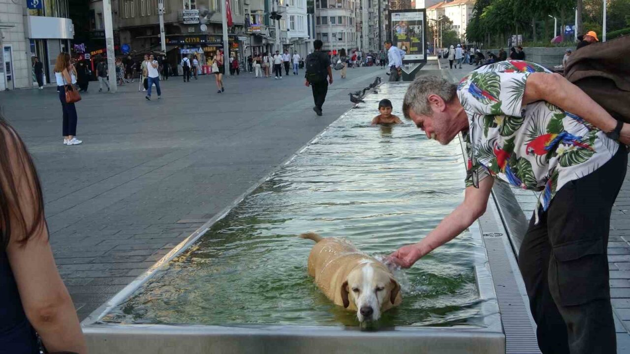 İstanbul Taksim Meydanı’nda sıcaktan bunalan çocuk ve köpek süs havuzuna
