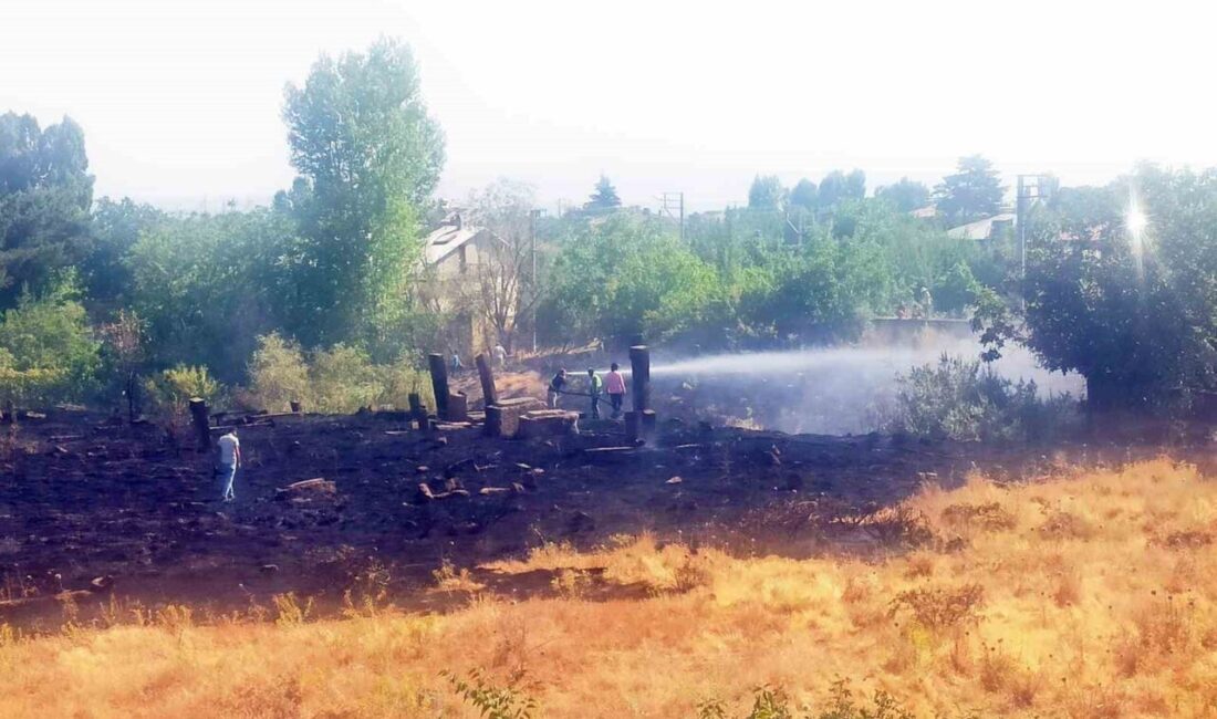 Bitlis’in Ahlat ilçesindeki tarihi mezarlıkta çıkan örtü yangını korku dolu