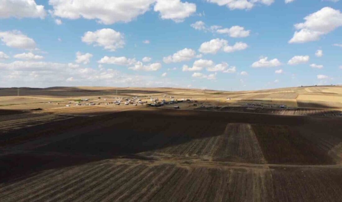 Tekirdağ’ın Marmaraereğlisi ilçesinde Büyük Ova Koruma Alanı içinde yer alan