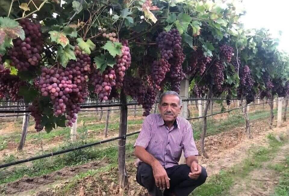 Manisa’nın Sarıgöl Ziraat Odası, TARİŞ tarafından açıklanan kuru üzüm fiyatını