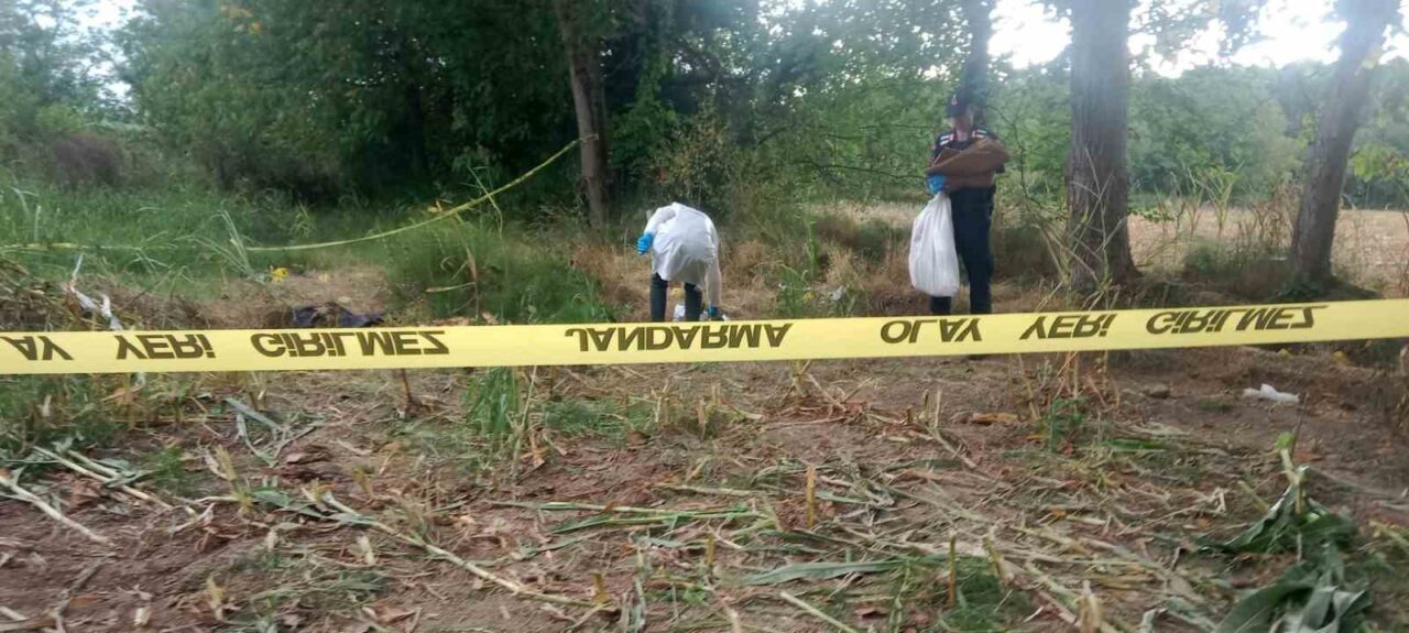 Düzce(İHA) – Düzce’de çalışmak için mısır tarlasına gelen çiftçi, insan