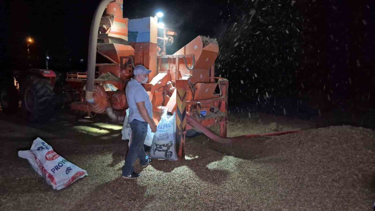 Düzce’nin ve bölgenin en önemli geçim kaynaklarından olan fındık hasadı