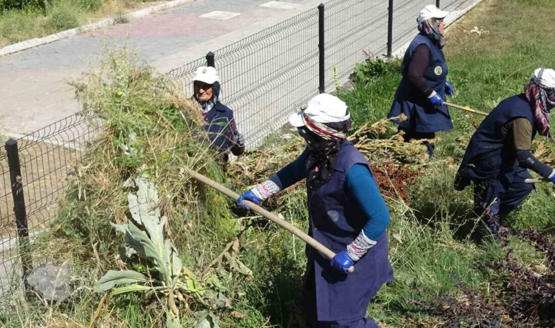 Kütahya’nın Tavşanlı ilçesinde, kavurucu sıcaklara rağmen ekmek parası için çalışan