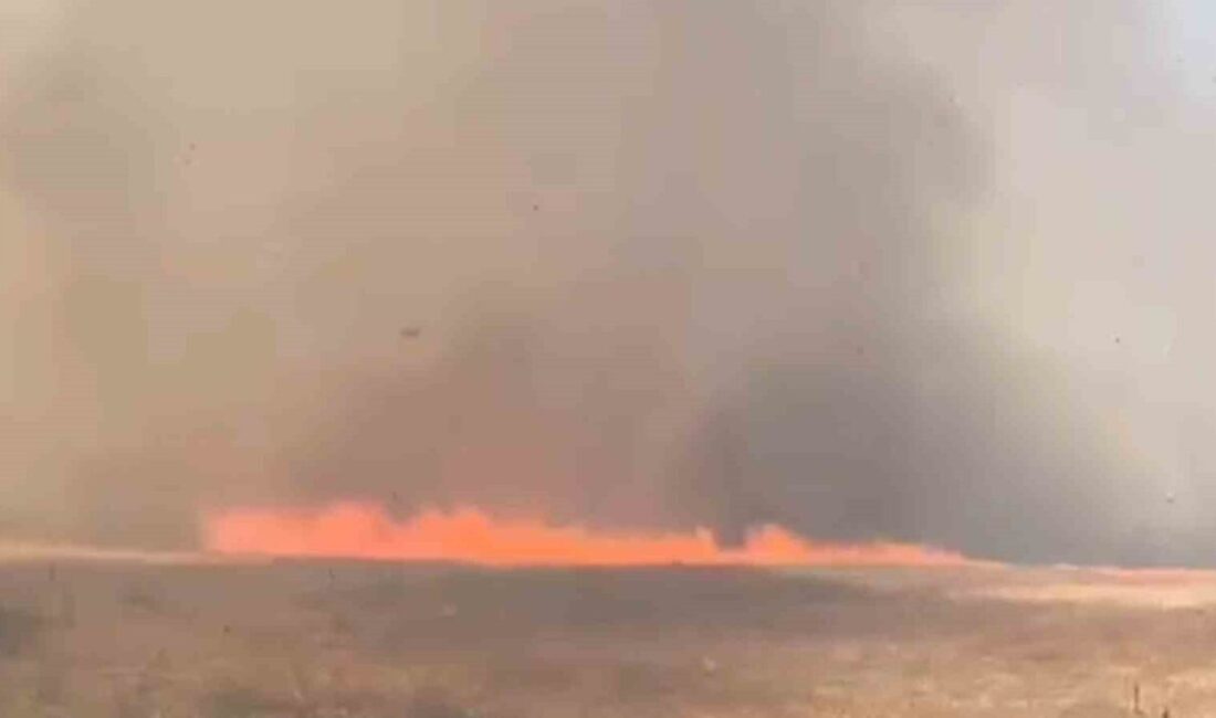 Tekirdağ’ın Süleymanpaşa ilçesinde biçilmiş buğday tarlasında çıkan yangın, rüzgarın etkisiyle