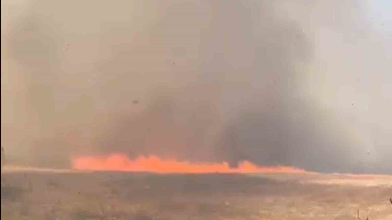 Tekirdağ’ın Süleymanpaşa ilçesinde biçilmiş buğday tarlasında çıkan yangın, rüzgarın etkisiyle