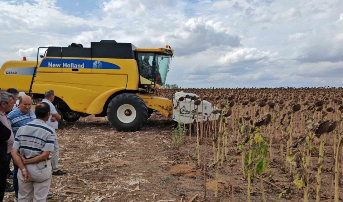 Tekirdağ’ın Süleymanpaşa ilçesinde, Tarım ve Orman İl Müdürlüğü tarafından yürütülen