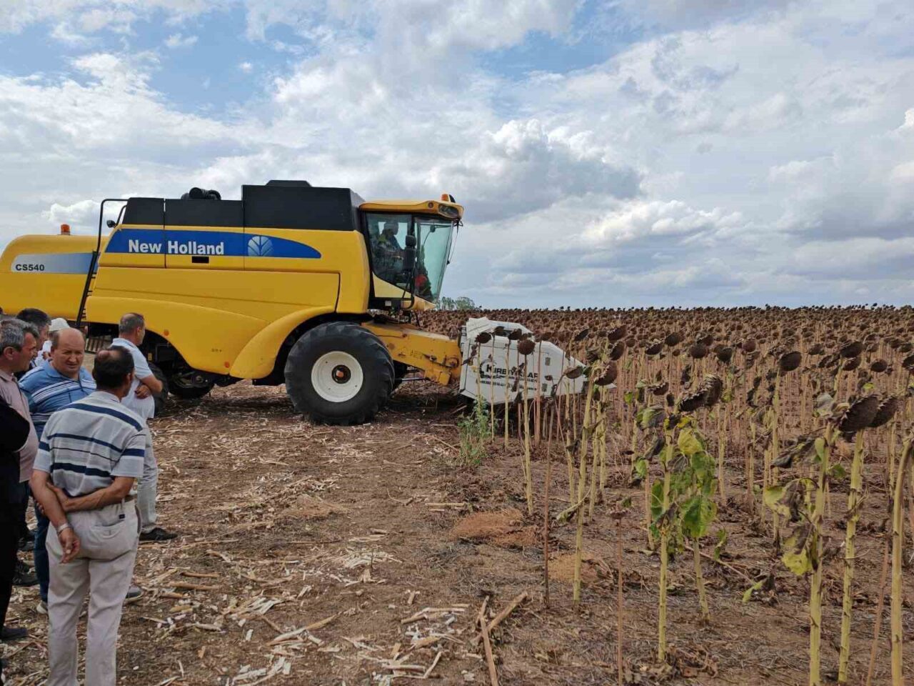 Tekirdağ’ın Süleymanpaşa ilçesinde, Tarım ve Orman İl Müdürlüğü tarafından yürütülen