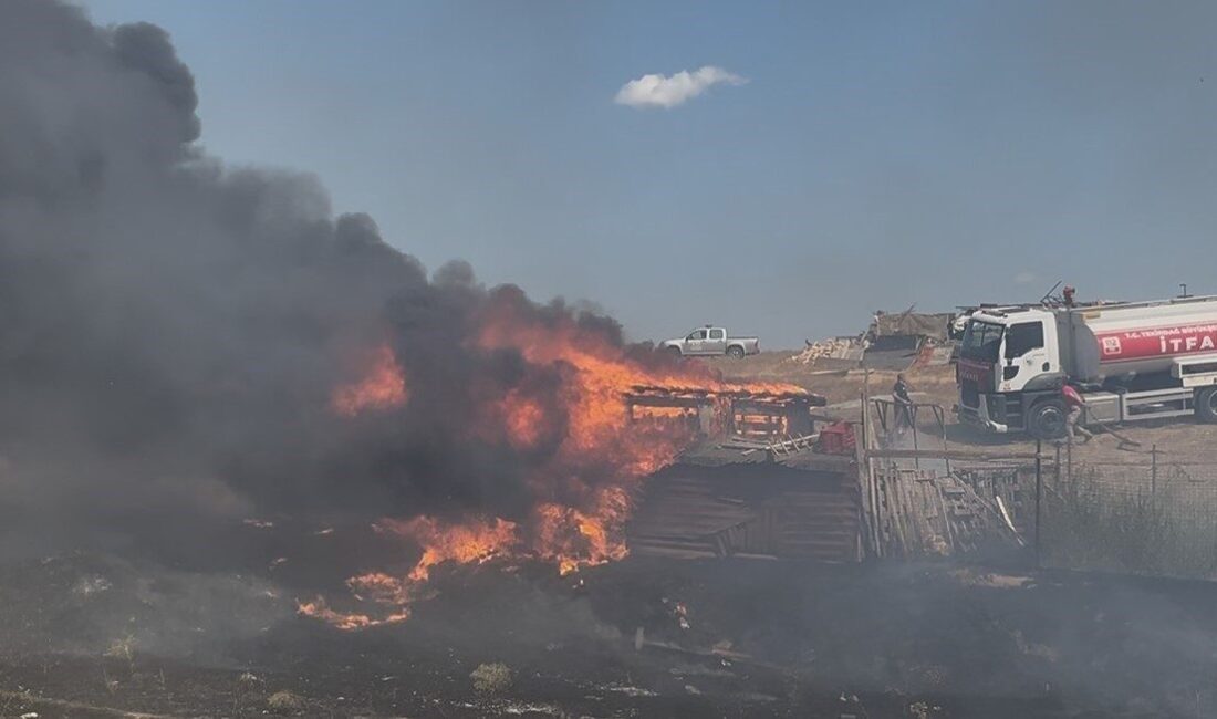 Tekirdağ’ın Çorlu ilçesinde koyun besi çiftliğinde yangın çıktı. Koyunların kurtarılarak
