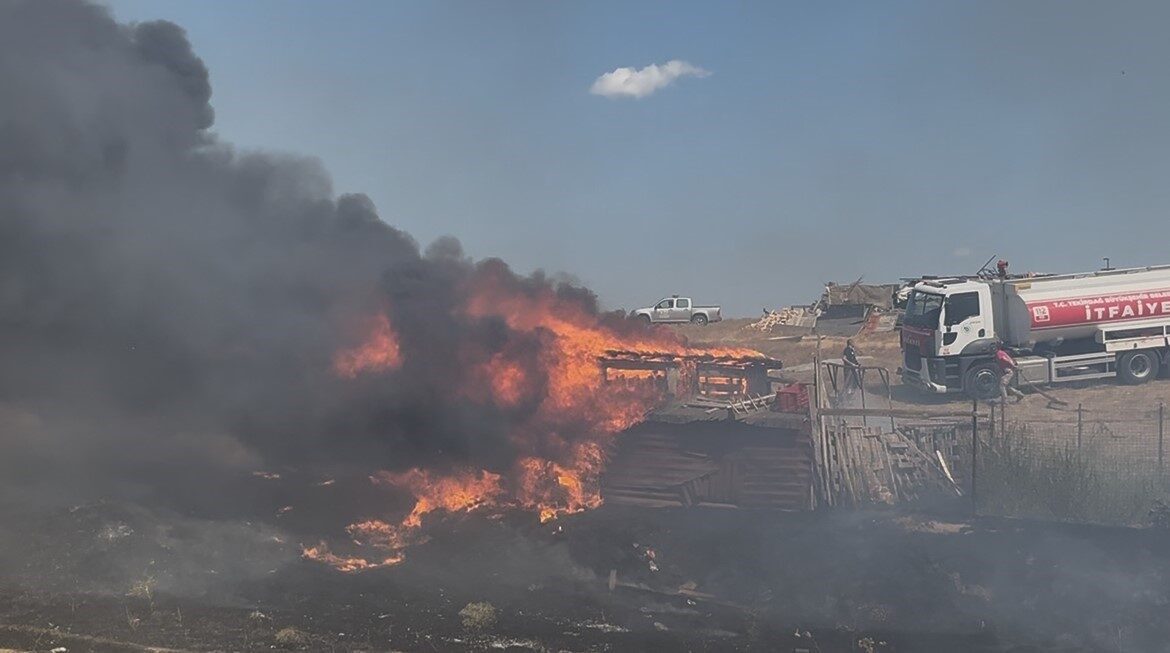 Tekirdağ’ın Çorlu ilçesinde koyun besi çiftliğinde yangın çıktı. Koyunların kurtarılarak