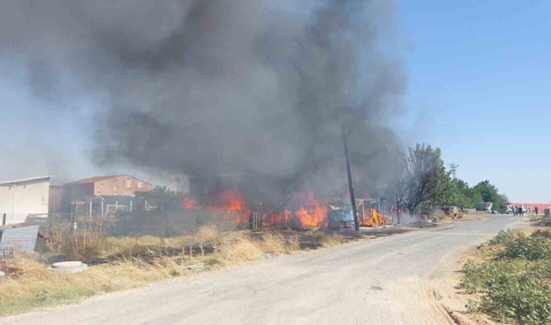 Tekirdağ’ın Ergene ilçesinde baraka ve tarım aletlerinin bulunduğu çiftlikte yangın