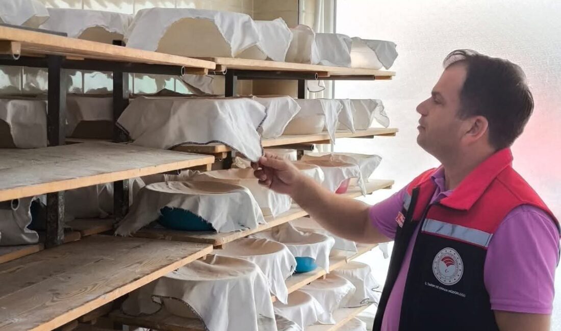 Tekirdağ Tarım ve Orman İl Müdürlüğü ekipleri, kent genelinde ekmek