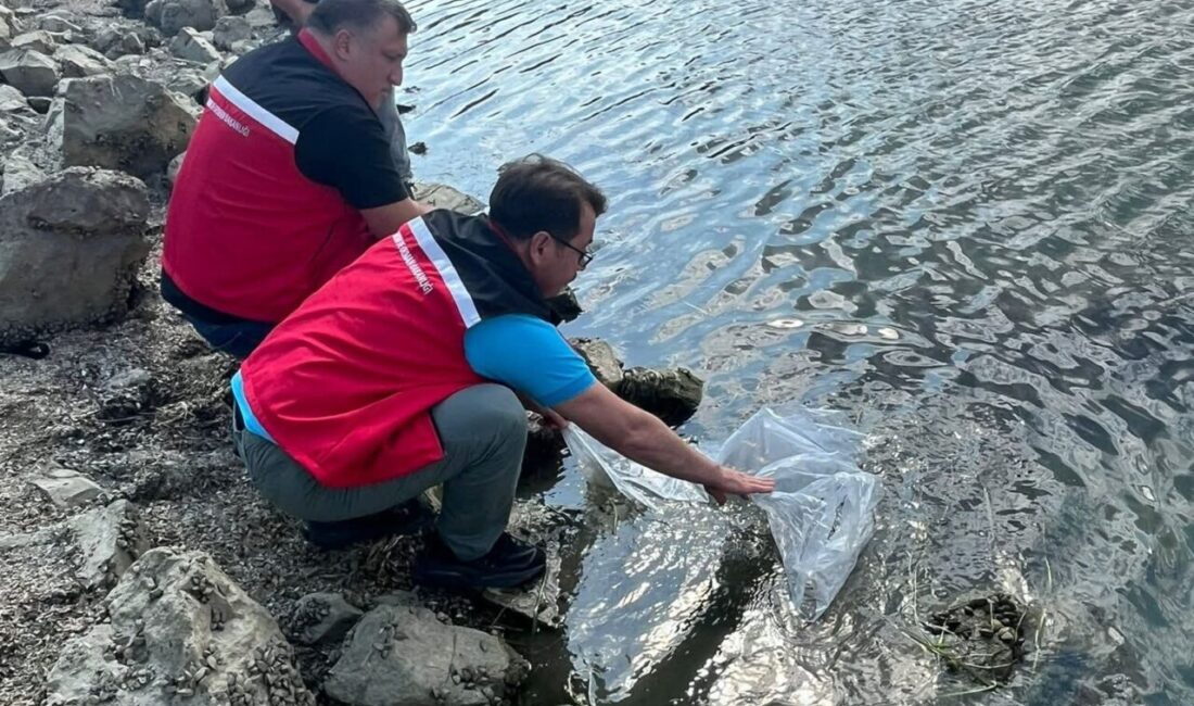 Tekirdağ’da Tarım ve Orman Bakanlığı tarafından yürütülen 2025 yılı ’Balıklandırma