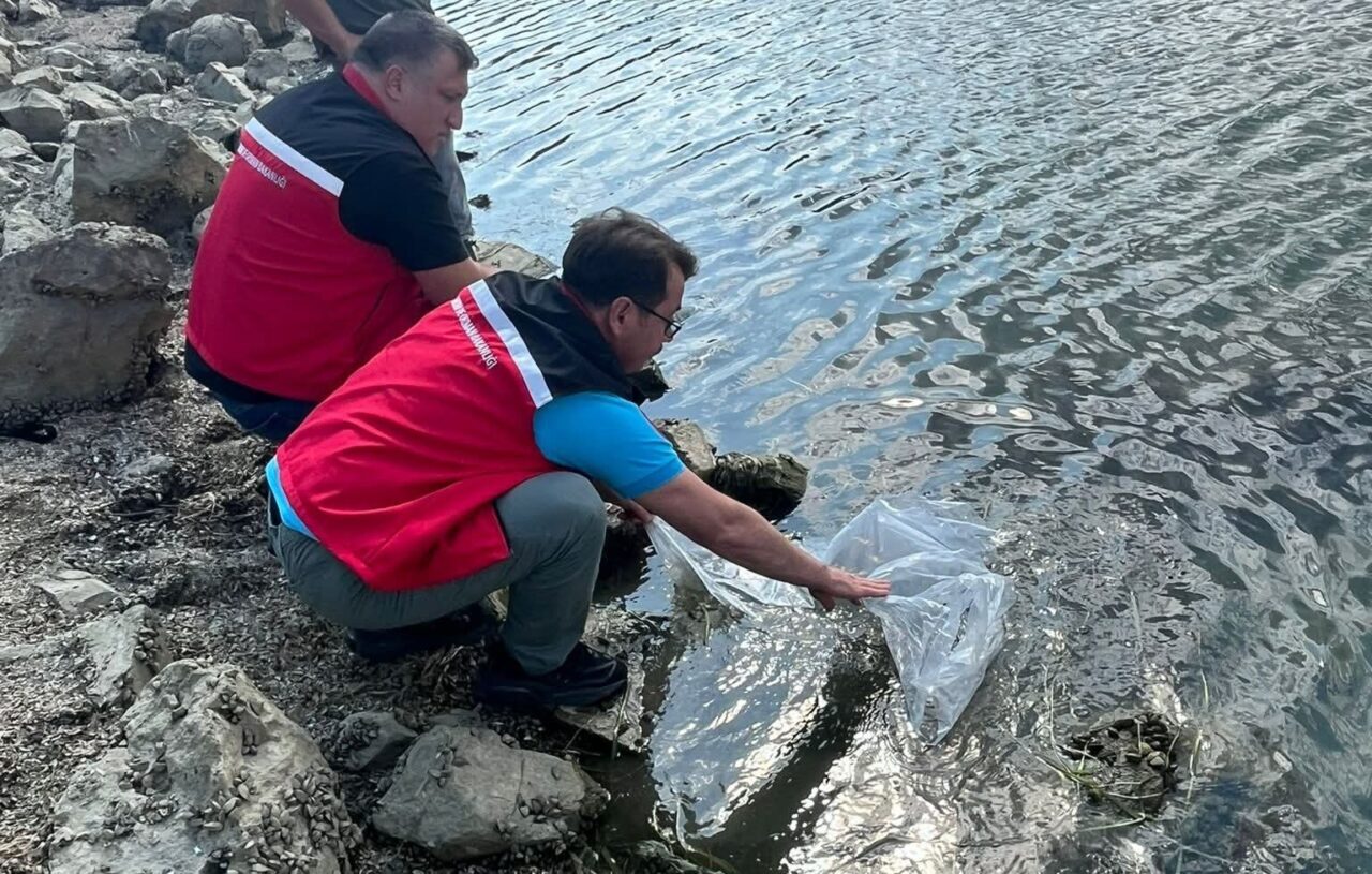 Tekirdağ’da Tarım ve Orman Bakanlığı tarafından yürütülen 2025 yılı ’Balıklandırma