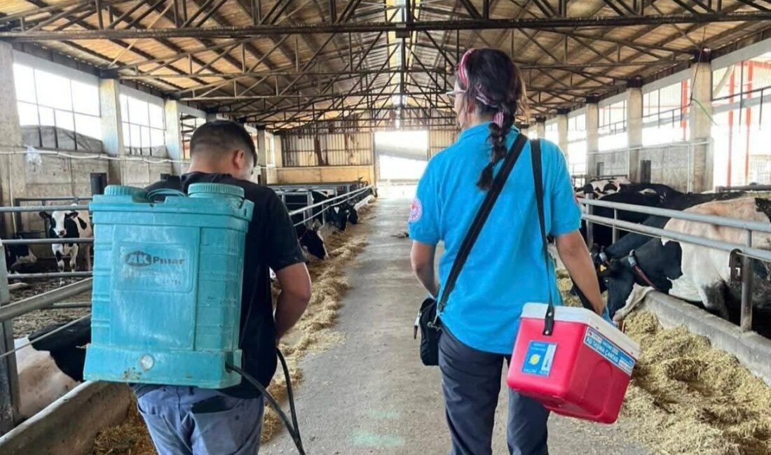 Tekirdağ genelinde “Hayvan Hastalıkları ile Mücadele Programı” kapsamında yürütülen aşılama