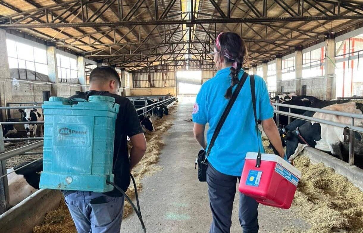 Tekirdağ genelinde “Hayvan Hastalıkları ile Mücadele Programı” kapsamında yürütülen aşılama