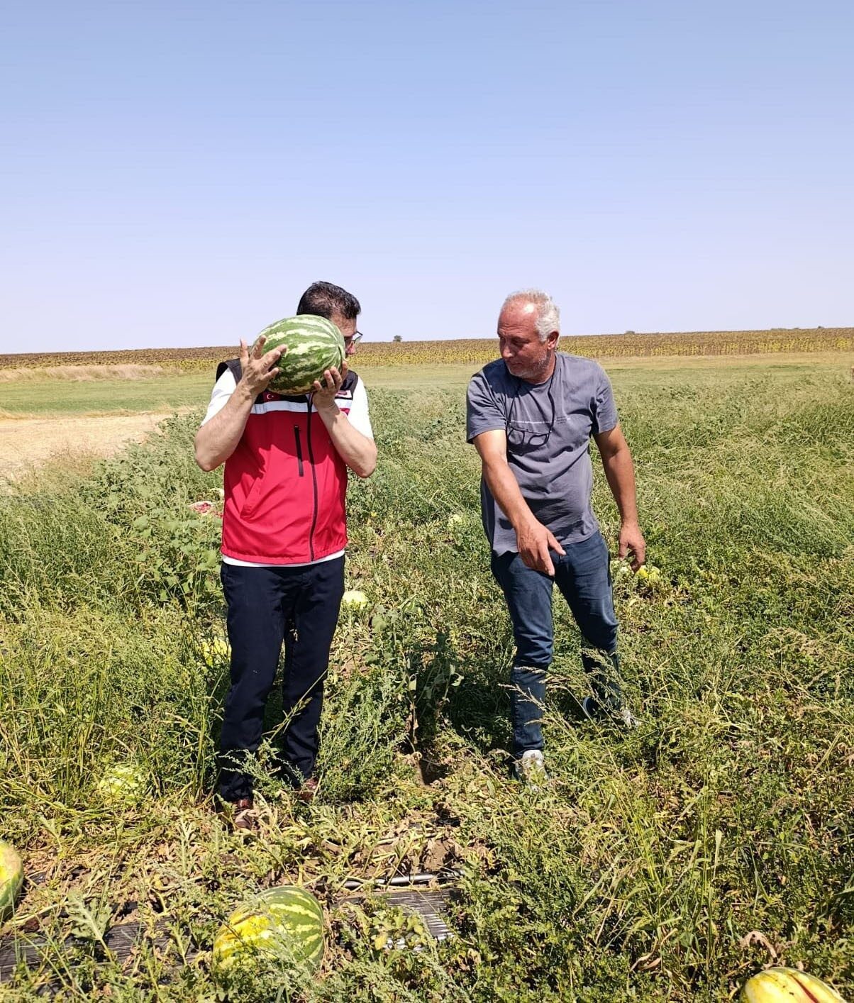 Tekirdağ İl Tarım ve Orman Müdürü Mehmet Aksoy, Hayrabolu ilçesine
