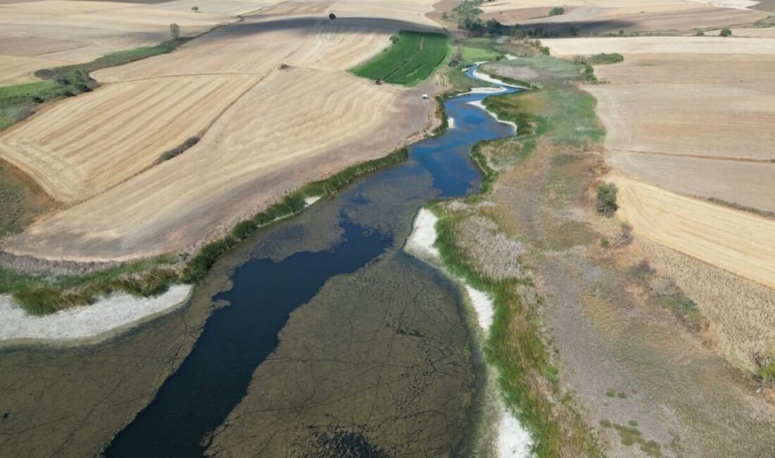 Tekirdağ Sarılar Göleti’nde su seviyesi kuraklık ve yüksek sıcaklıkların etkisiyle