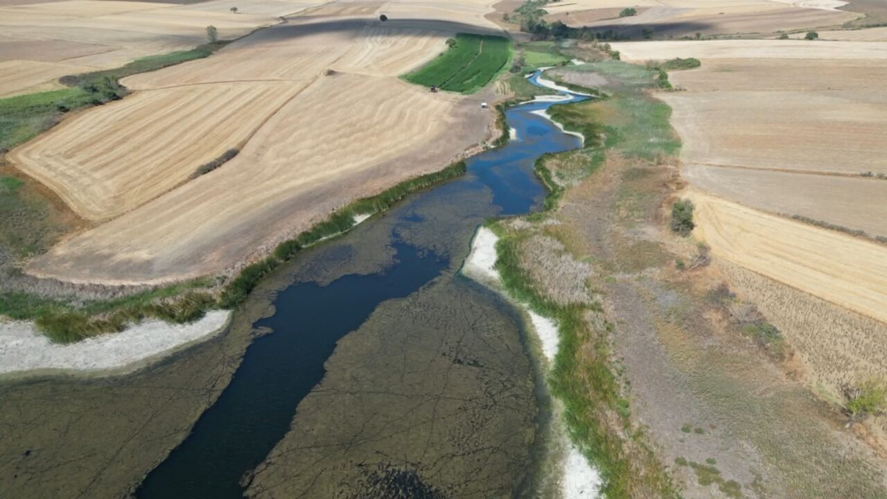 Tekirdağ Sarılar Göleti’nde su seviyesi kuraklık ve yüksek sıcaklıkların etkisiyle