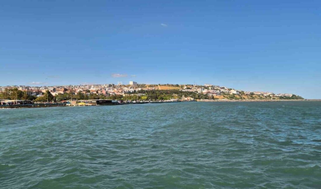 Türkiye İstatistik Kurumu (TÜİK) verilerine göre, Tekirdağ’da 2025 yılı Temmuz