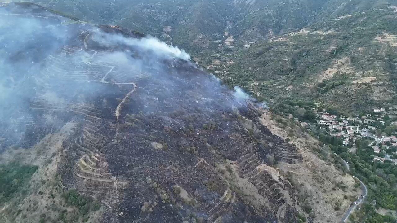 Tekirdağ’ın Şarköy ilçesinde makilik alanda başlayıp ormanlık alana sıçrayan yangını