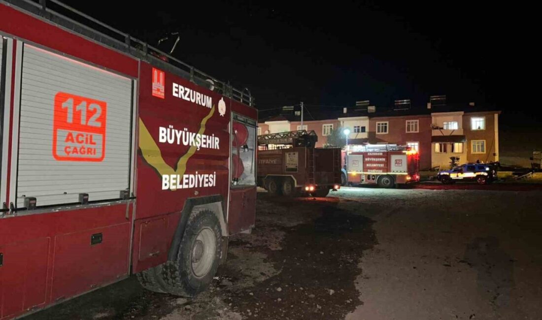 Erzurum’un Tekman ilçesinde çıkan yangın korku dolu anlar yaşattı. Edinilen